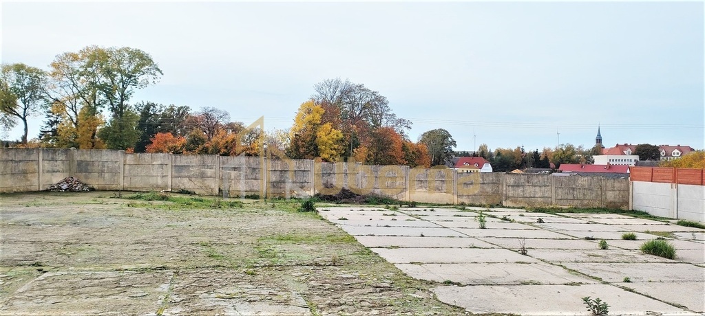 Nieruchomość usługowo-mieszkalna w Pełczycach (14)