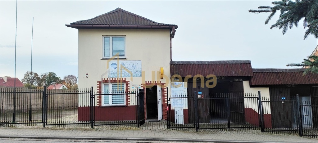 Nieruchomość usługowo-mieszkalna w Pełczycach (25)