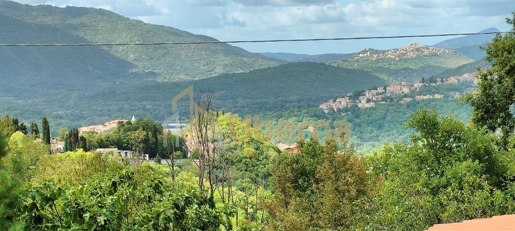 Dom z ogrodem w  Gerano, 40 km od Rzym, sprzedaż. (20)
