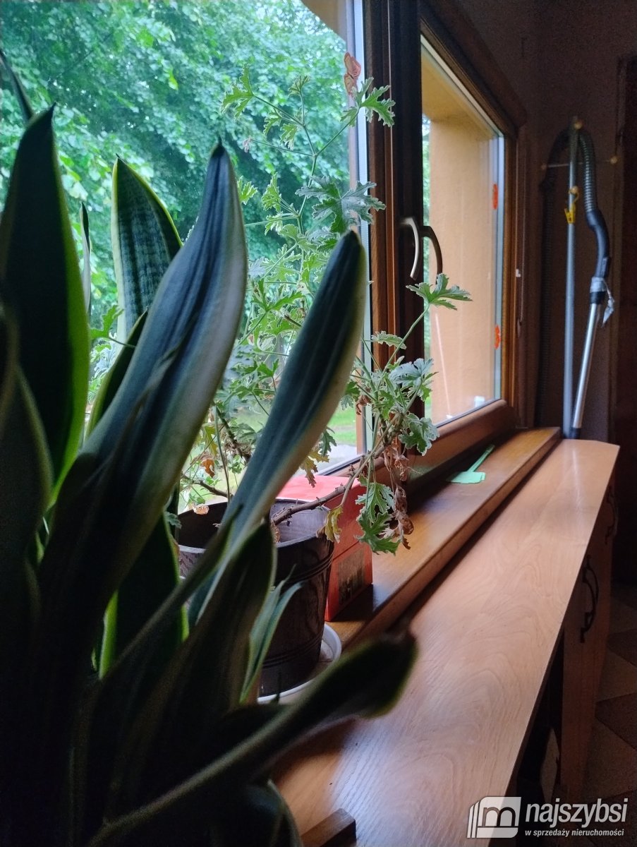 Brojce- bliźniak w urokliwym miejscu (11)