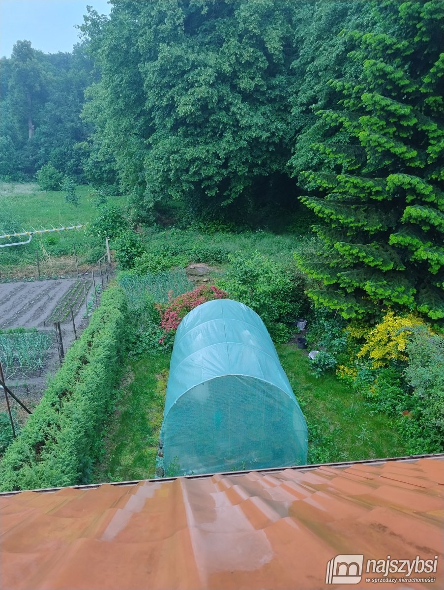 Brojce- bliźniak w urokliwym miejscu (19)