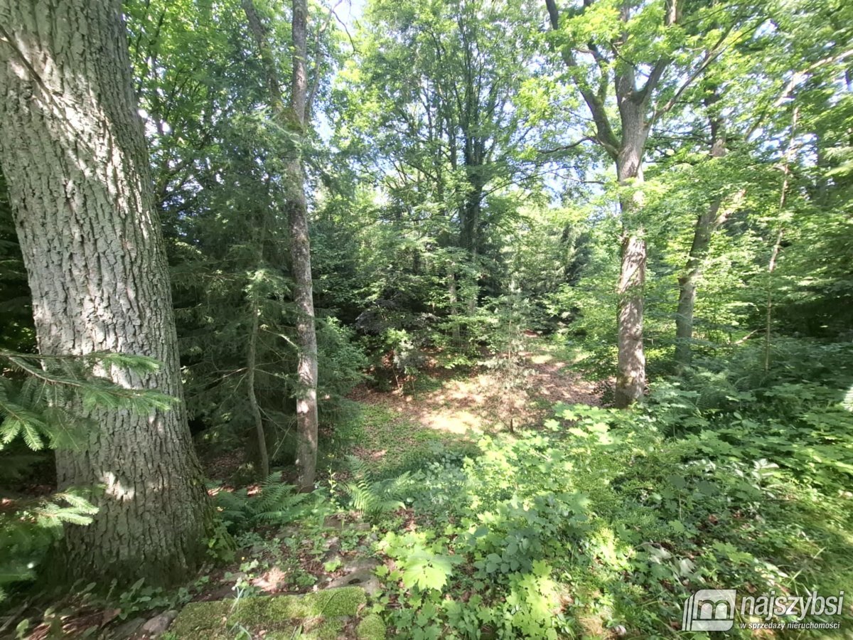 Klępnica - kompleks domów 100m od jeziora*** (17)