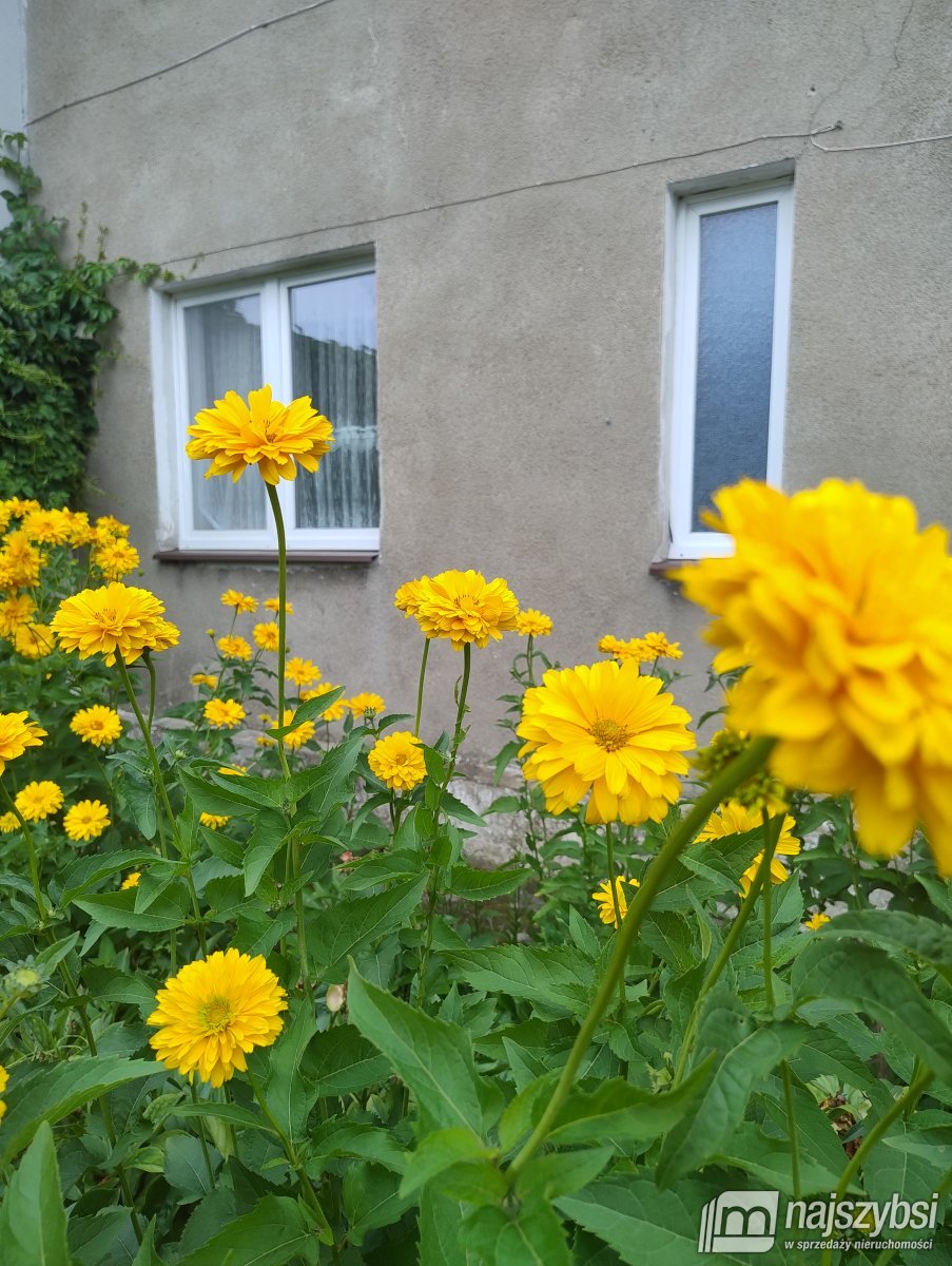 PŁOTY - MIESZKANIE 2 POKOJOWE W CENTRUM MIASTA (2)