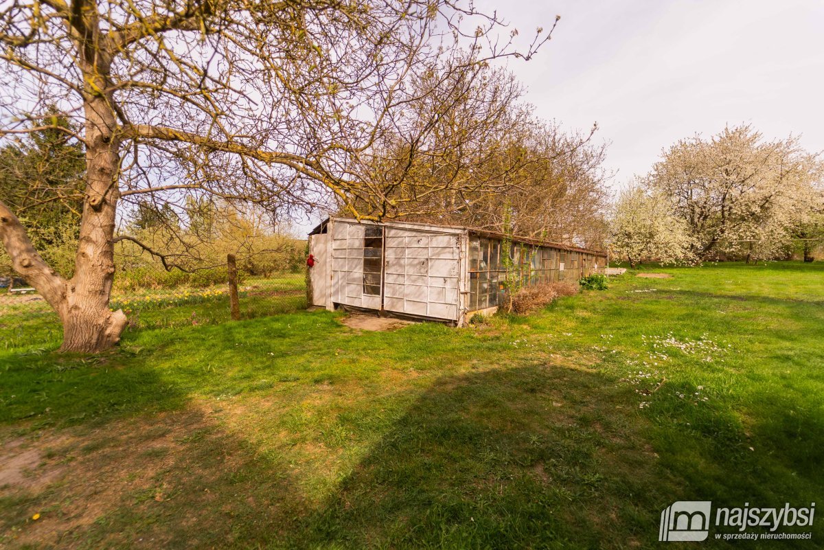 Nowogard - dom wolnostojący w centrum miasta (25)