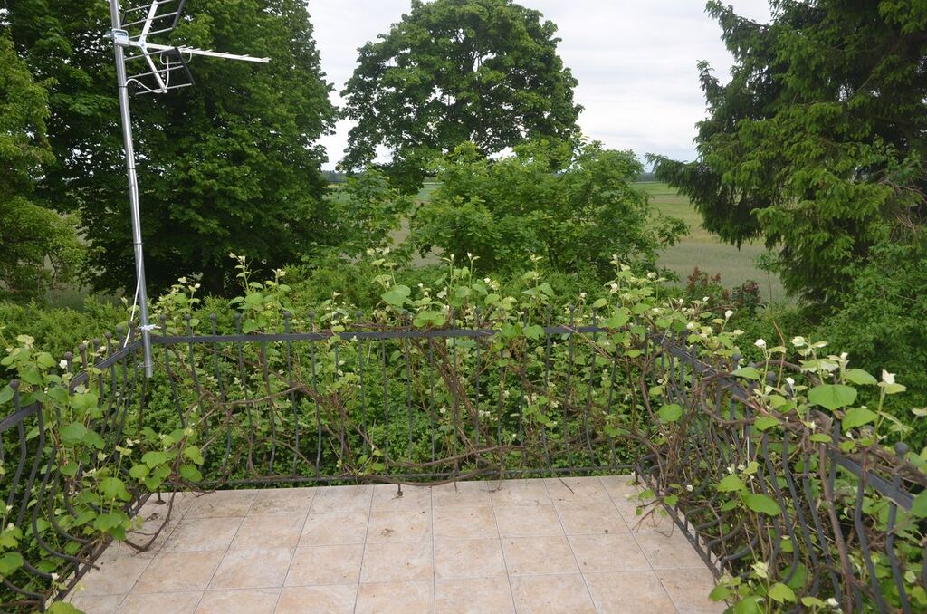 Gospodarstwo 8 ha z domem 9 km od morza !!! (23)