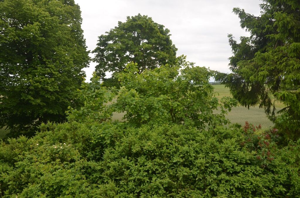 Gospodarstwo 8 ha z domem 9 km od morza !!! (25)