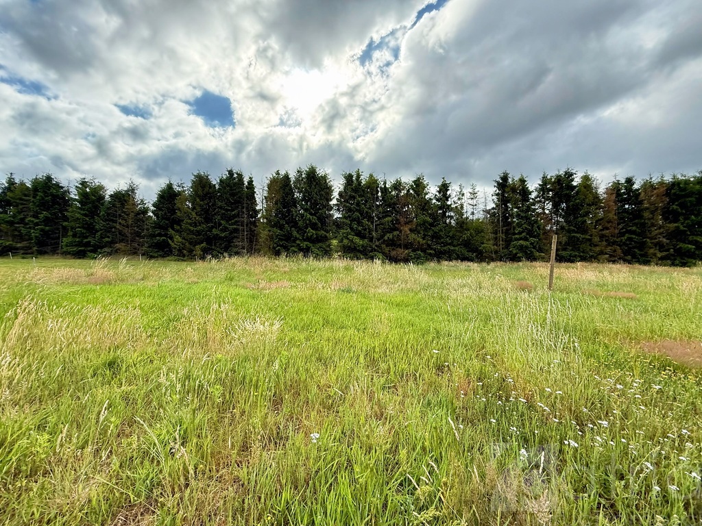 Nowa Cena! Działka z WZ, 1067 m2, Zdżary, Goleniów (4)