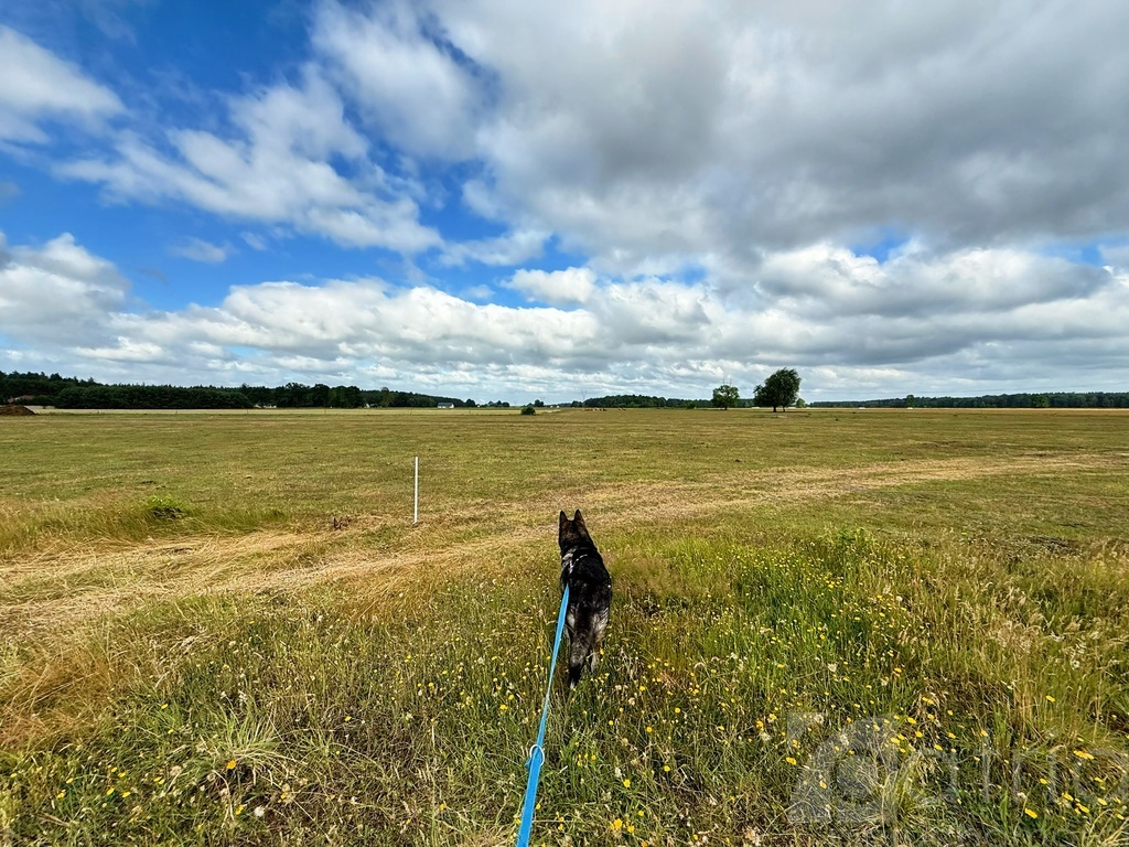 Nowa Cena! Działka z WZ, 1067 m2, Zdżary, Goleniów (5)