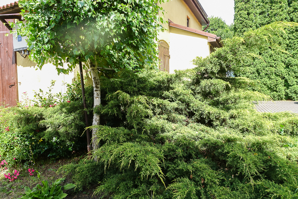 Dom dwurodzinny na uboczu działka 3340 m2 (10)