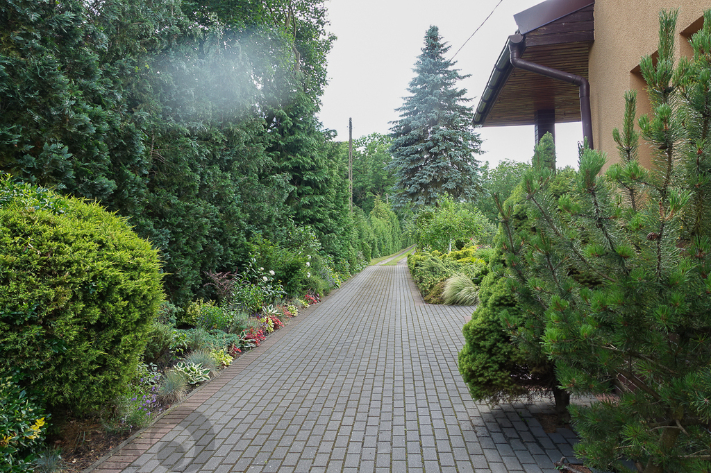 Dom dwurodzinny na uboczu działka 3340 m2 (11)