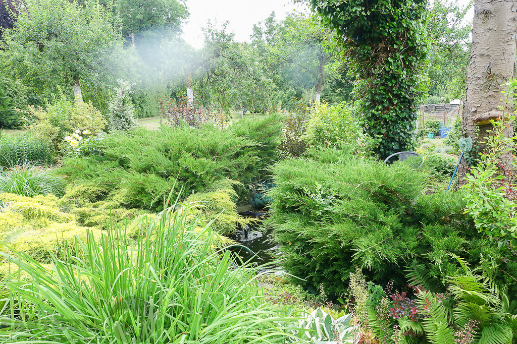 Dom dwurodzinny na uboczu działka 3340 m2 (17)