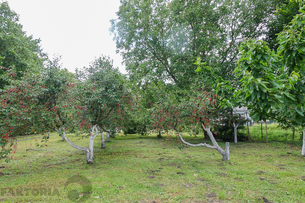 Dom dwurodzinny na uboczu działka 3340 m2 (21)