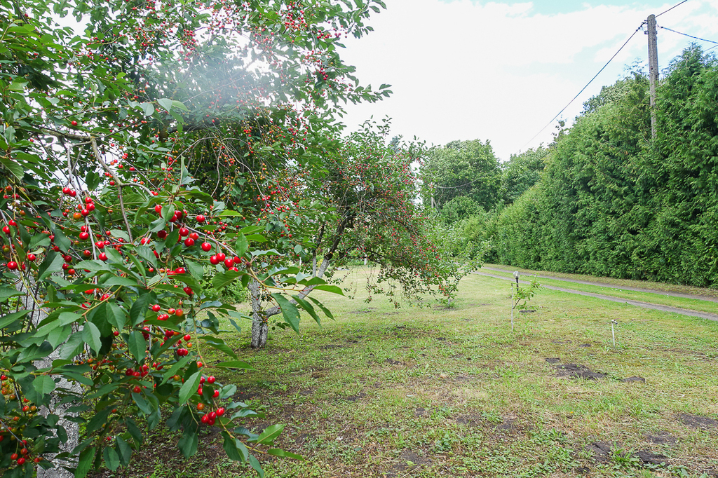 Dom dwurodzinny na uboczu działka 3340 m2 (23)