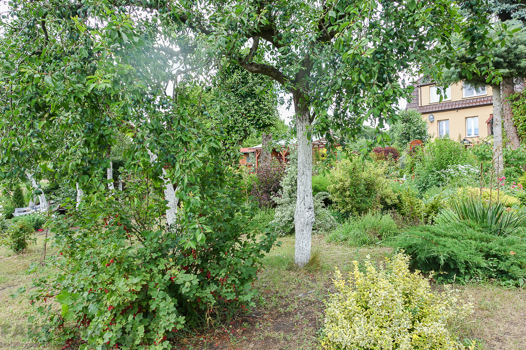 Dom dwurodzinny na uboczu działka 3340 m2 (24)