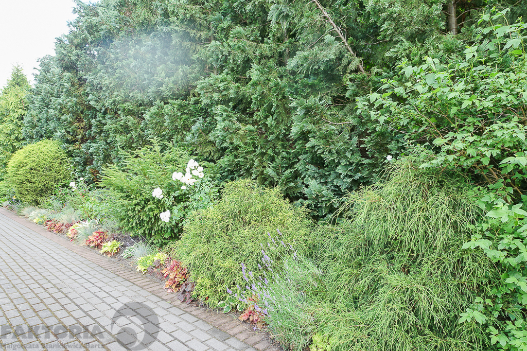 Dom dwurodzinny na uboczu działka 3340 m2 (25)