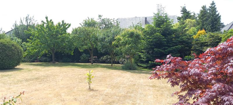 Dom wolnostojący - Siemianice  (12)