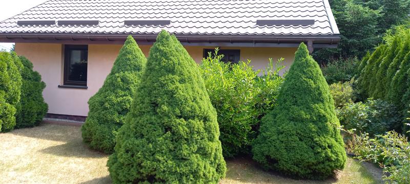 Dom wolnostojący - Siemianice  (14)