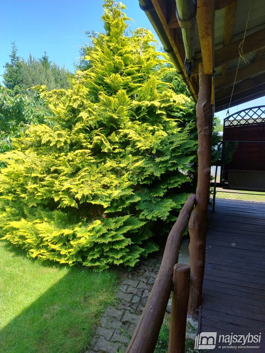 Trzebiatów - dom gościnny na obrzeżach Trzebiatowa (11)