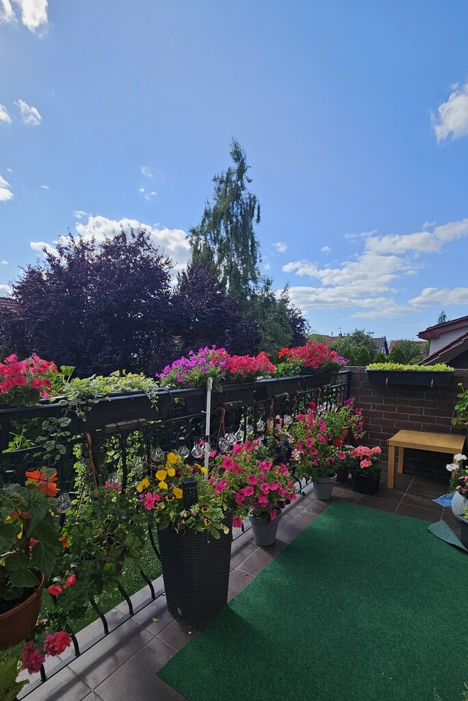 Przestronne mieszkanie z kominkiem i ogródkiem! (16)