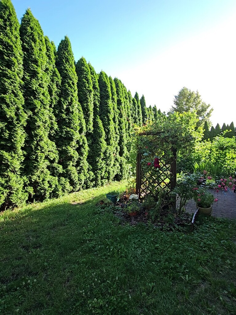 Przestronne mieszkanie z kominkiem i ogródkiem! (17)