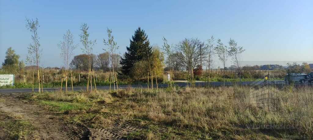 Działka Czarna Łąka ul Turystyczna (8)