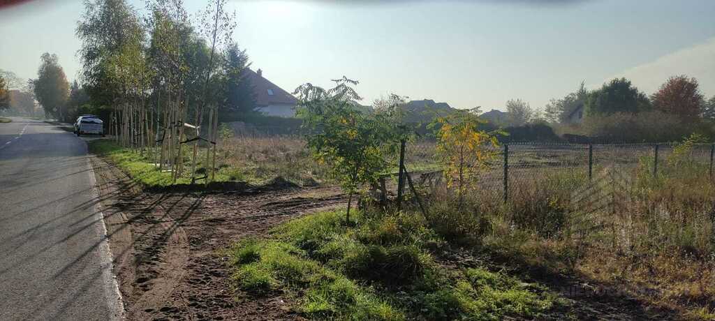 Działka Czarna Łąka ul Turystyczna (10)