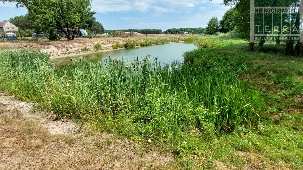 Działka ze STAWEM ! (13)