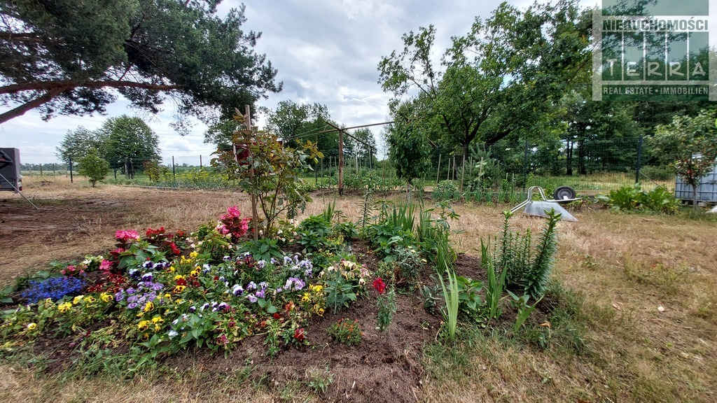 Działka ze STAWEM ! (16)