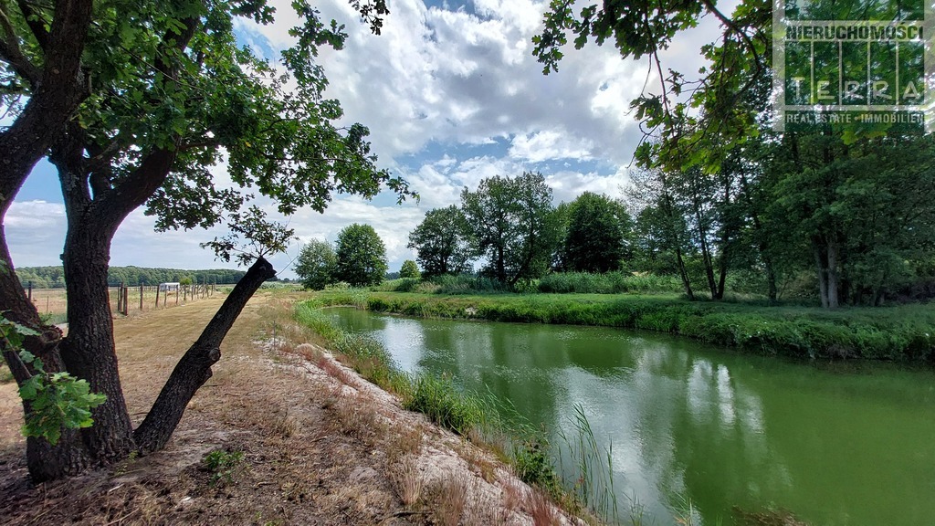Działka ze STAWEM ! (12)