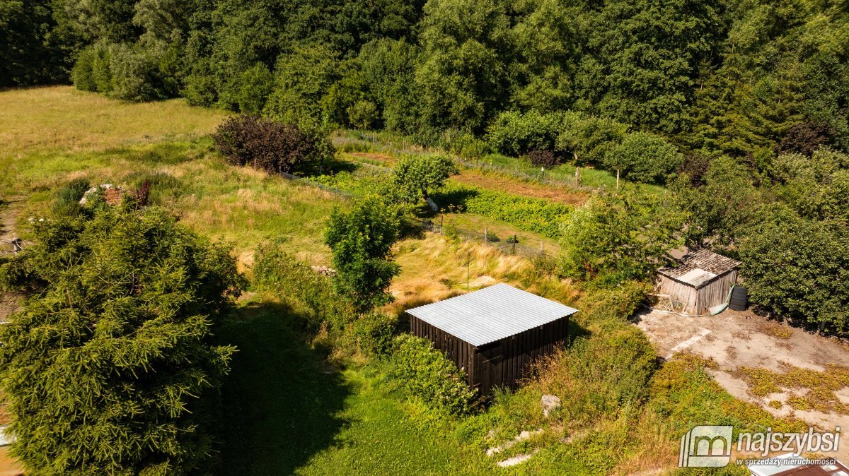 Płoty - Dąbie - Szeregowiec z potencjałem (5)