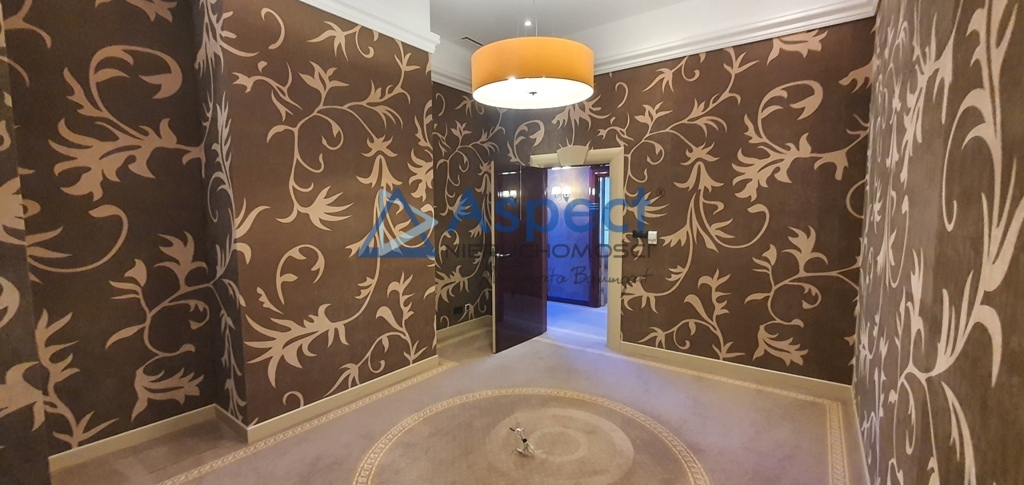 Lokal, 325 m2, parter, Szczecin Centrum (9)