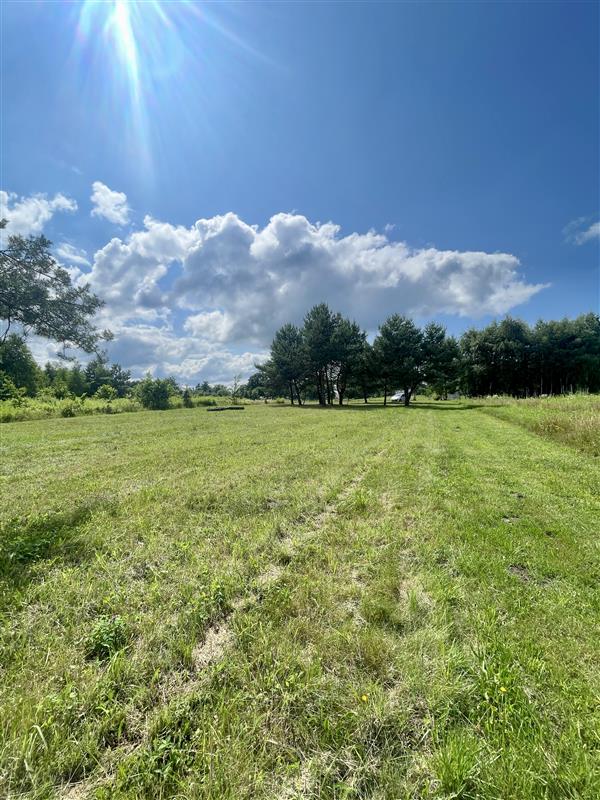 175.000 zł - 0,5 ha, Węgorzewo, gm. Sianów, z MPZP (2)