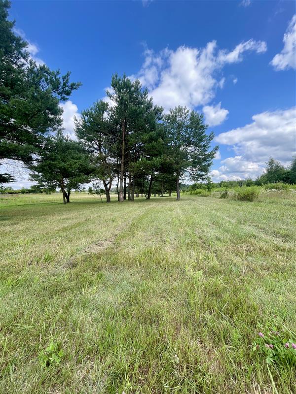 175.000 zł - 0,5 ha, Węgorzewo, gm. Sianów, z MPZP (5)