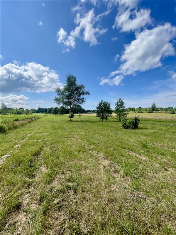 175.000 zł - 0,5 ha, Węgorzewo, gm. Sianów, z MPZP (6)