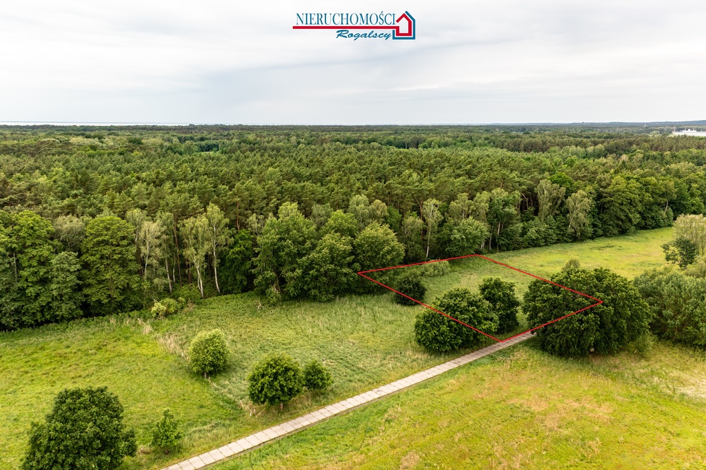 Działka siedliskowa pod lasem na wyspie Karsibór (1)