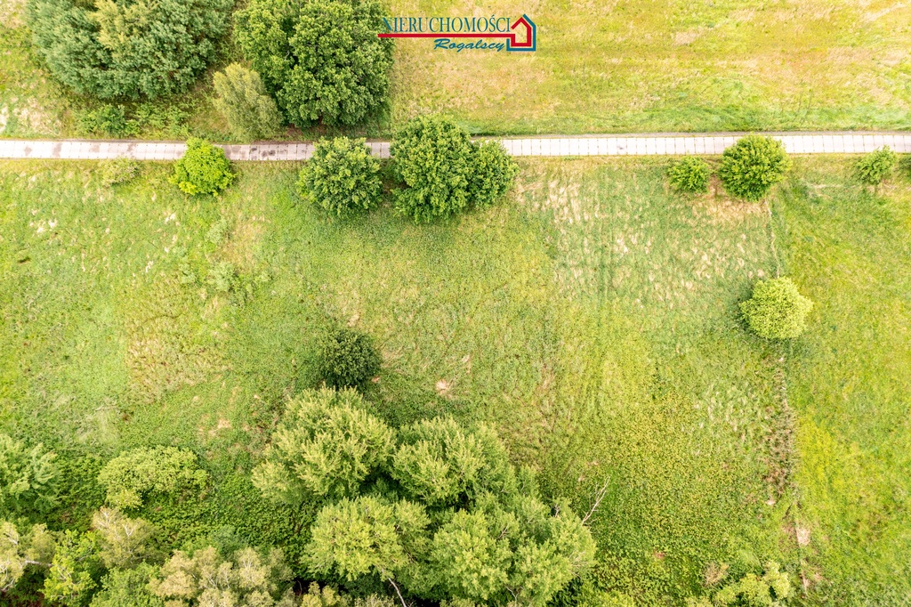 Działka siedliskowa pod lasem na wyspie Karsibór (3)