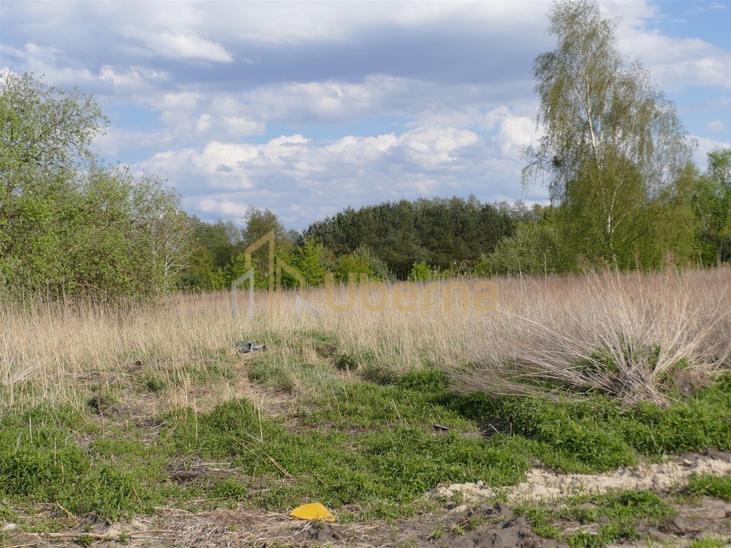 Szczecin Wielgowo Sławociesze działka sprzedaż (4)