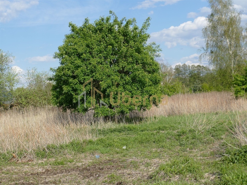 Szczecin Wielgowo Sławociesze działka sprzedaż (8)