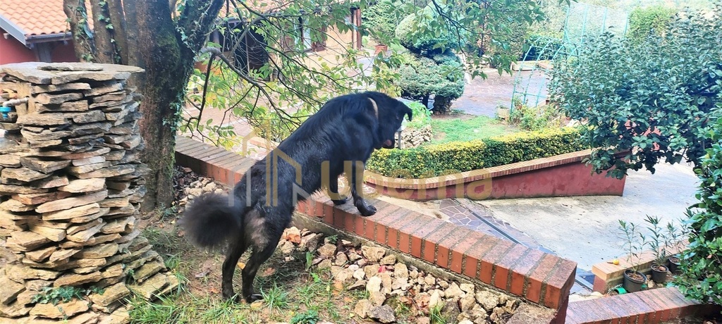 Rezydencja w  Gerano, 40 km od Rzymu, sprzedaż. (8)