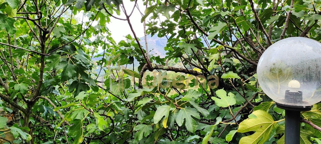 Rezydencja w  Gerano, 40 km od Rzymu, sprzedaż. (22)