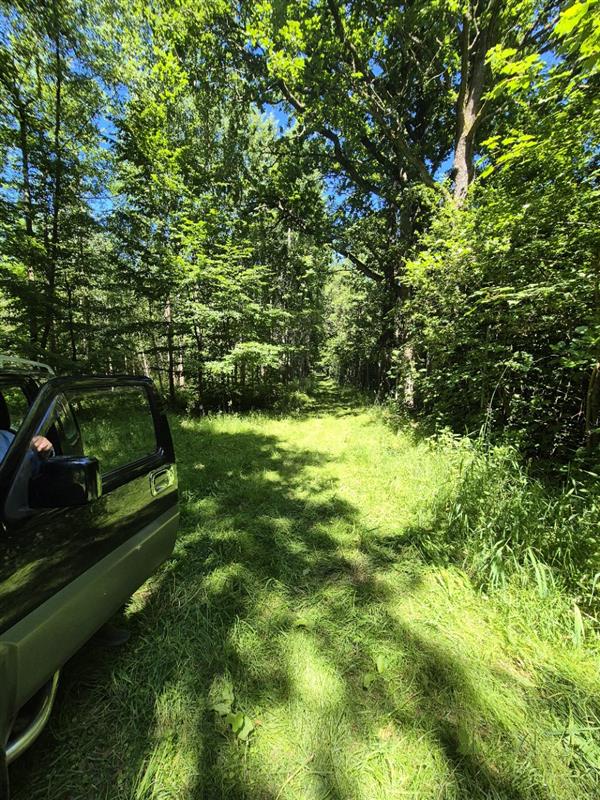 Dom wolnostojący - Jeżyce Jeżyce (4)