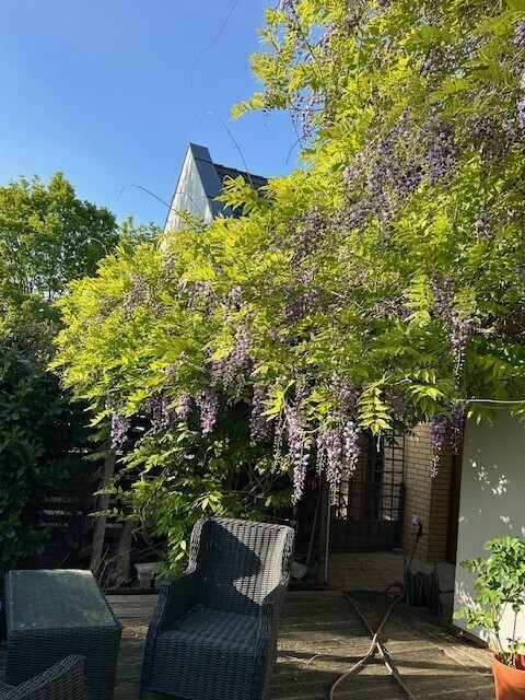 komfortowy dom na zamkniętym osiedlu-przy lesie (20)