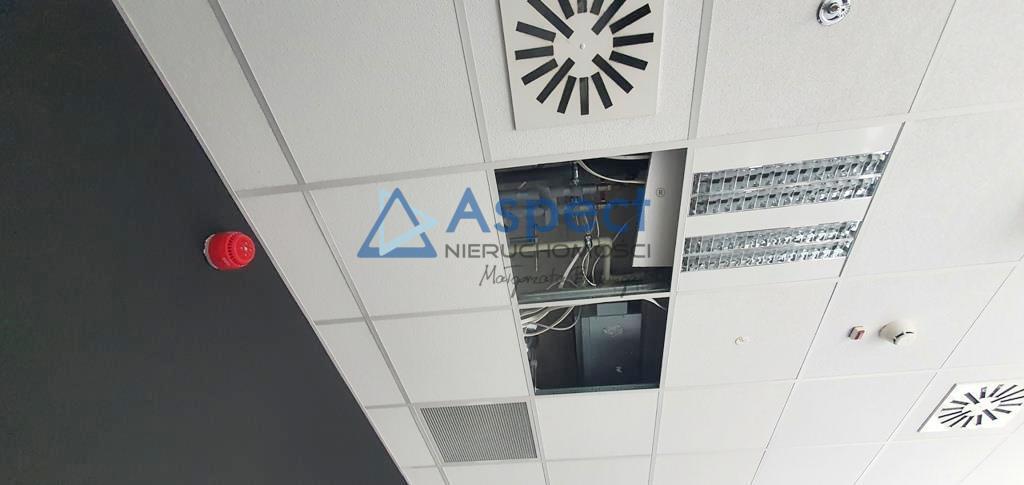 Lokal, 150 m2, 0 piętro, Szczecin Centrum (5)