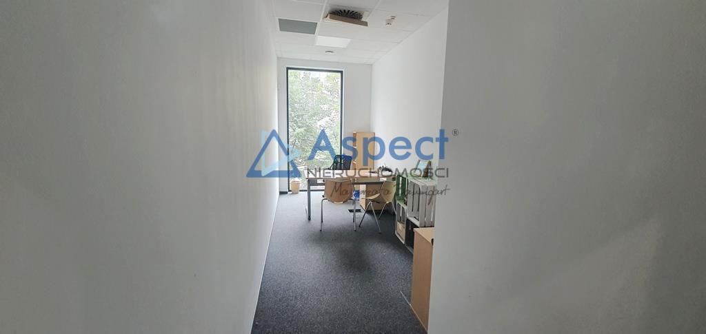 Lokal, 150 m2, 0 piętro, Szczecin Centrum (12)