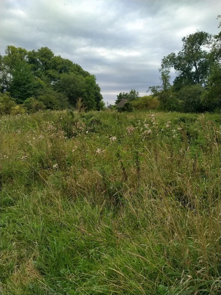 Działka 4211m2,Czarnowo, blisko jezioro,las. (8)