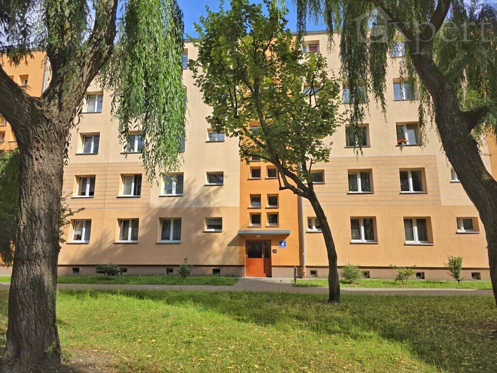 2 pokoje -Spółdzielcze możliwe dla obcokrajowców (14)