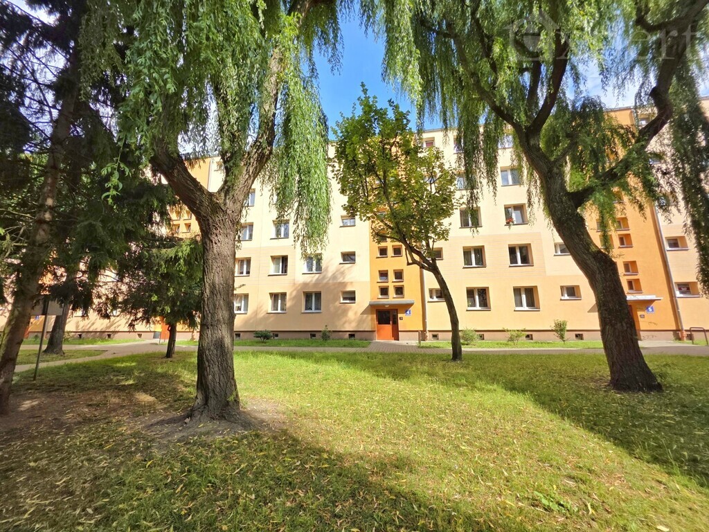 2 pokoje -Spółdzielcze możliwe dla obcokrajowców (2)