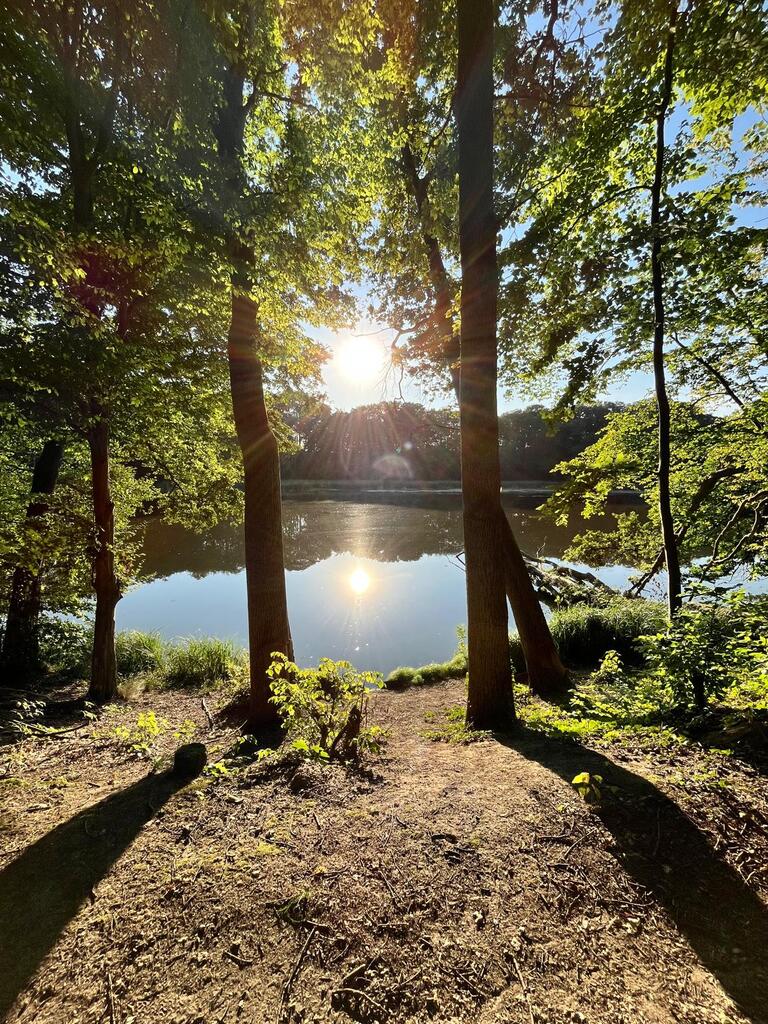 Działka budowlana z dostępem do jeziora 2304 m2 (3)