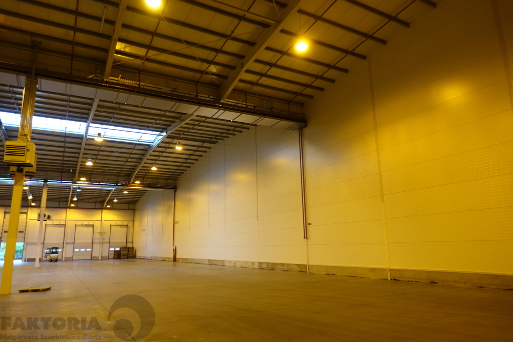 Hala 2278 m2 + biura 414 m2 (4)