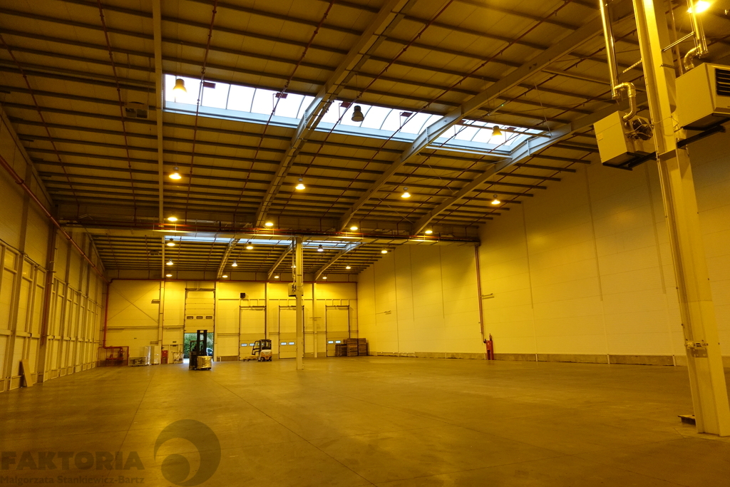 Hala 2278 m2 + biura 414 m2 (3)